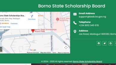 Borno State Scholarship 2026
