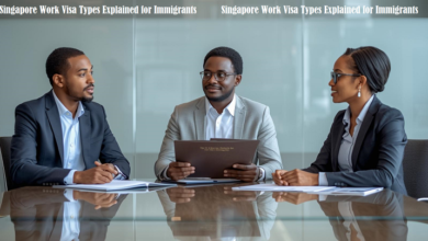 Singapore Work Visa Types Explained for Immigrants